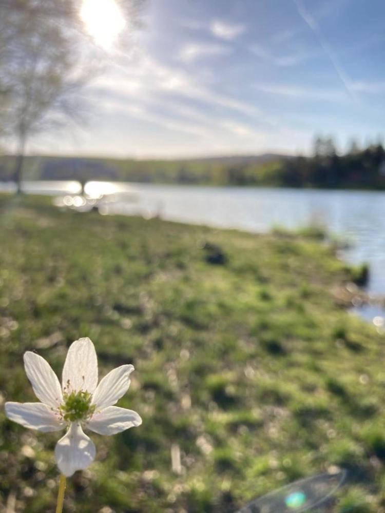 Valassky Hotel A Pivni Lazne Ogar Luhačovice Buitenkant foto